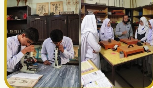 Students working with microscopes in the science lab