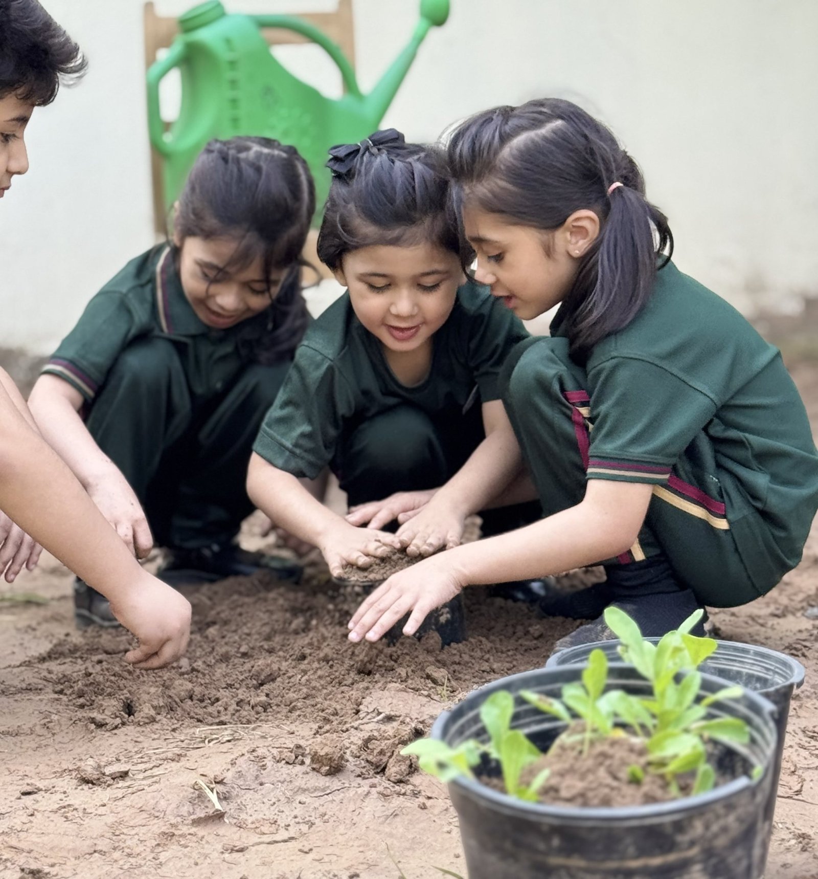 Children watering and tending vegetable beds in the school garden